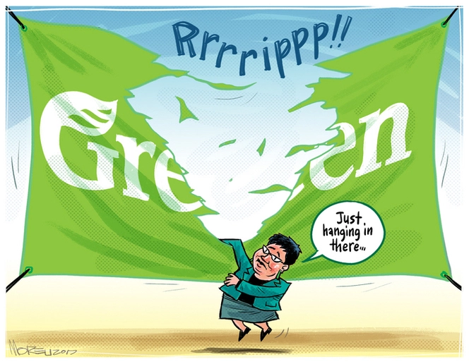 A big rip splits the Green Party banner as Co-leader Metiria Turei hangs in there