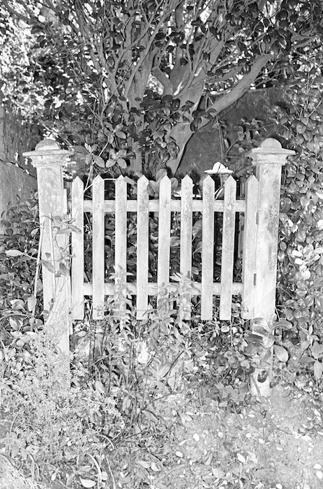 The grave of Annie Matilda Peters, plot 3009, Bolton Street Cemetery