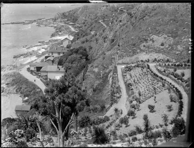 Creator unknown : Photograph of Karaka Bay, Wellington