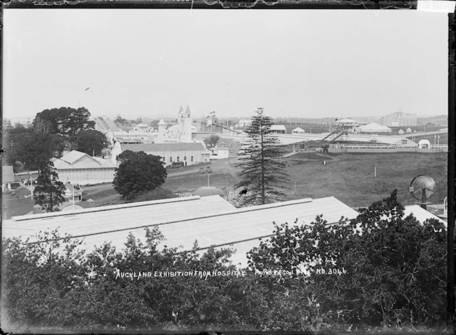 View of the Auckland Exhibition from Auckland Hospital