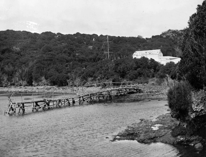 Port Ross, Auckland Islands