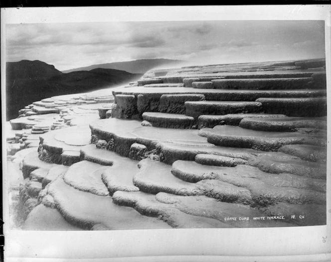 Coffee Cups, White Terraces - Photograph taken by George Dobson Valentine