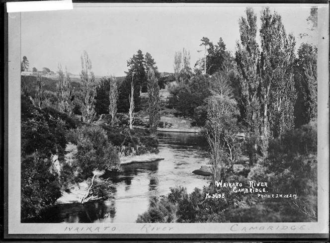 Waikato River at Cambridge, 1917 - Photograph taken by Edward John Wilkinson