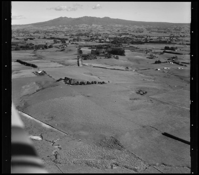 Rural Hamilton, Waikato Region