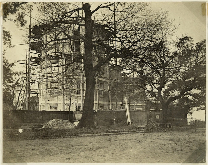 Building with scaffolding