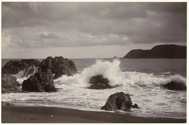 Lyall Bay, Wellington