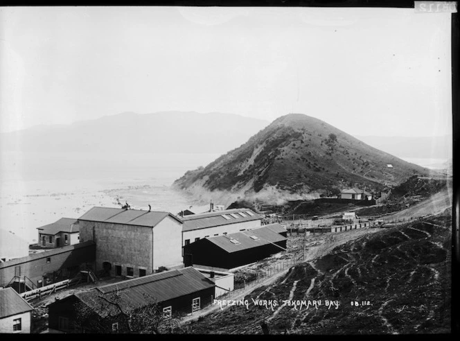 Tokomaru Sheepfarmers' Freezing Company Ltd at Waima, Tokomaru Bay, looking south