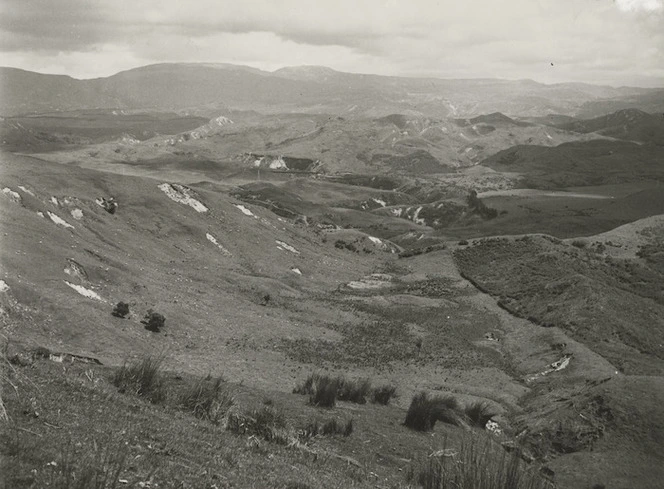 Tutira station, Hawke's Bay - Photograph by John Dobree Pascoe