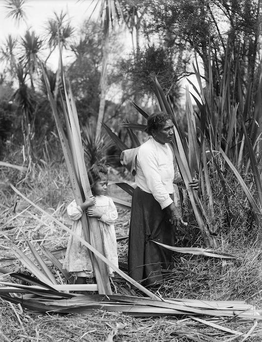 Woman and child cutting flax at Lake Ohia, Northland