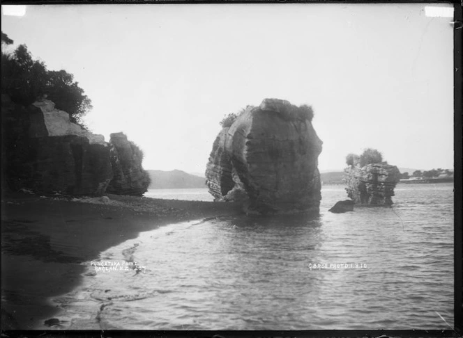 Pungataka Point, Raglan Harbour, 1910 - Photograph taken by Gilmour Brothers