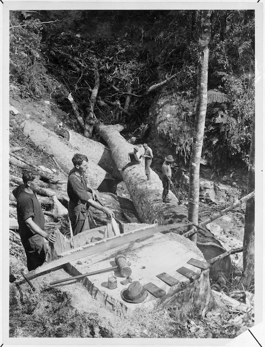 Timber workers and tree felling implements, Kauaeranga Valley