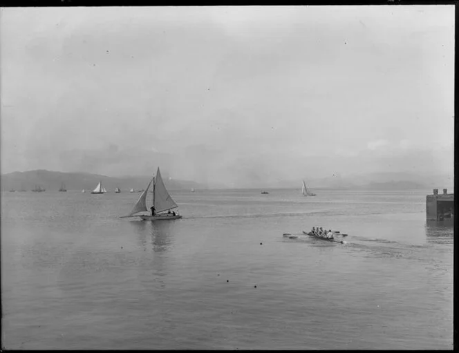 Sailing and rowing, Wellington Harbour