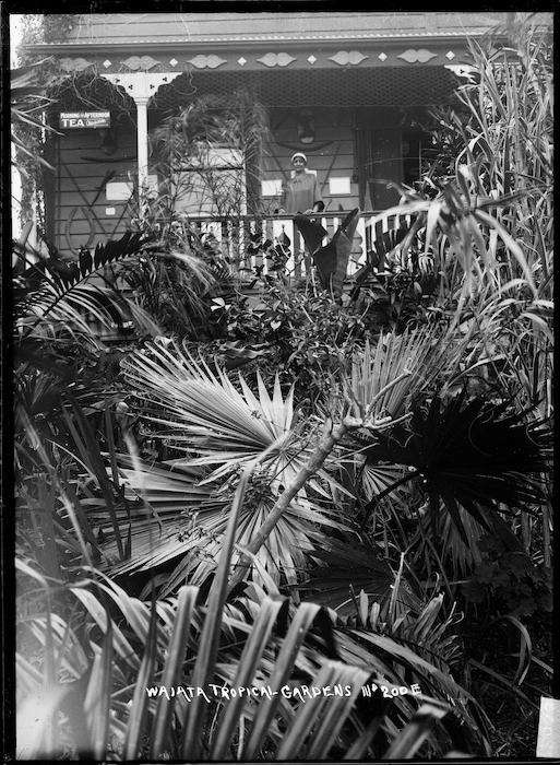 Waiata Tropical Gardens, Birkenhead, Auckland