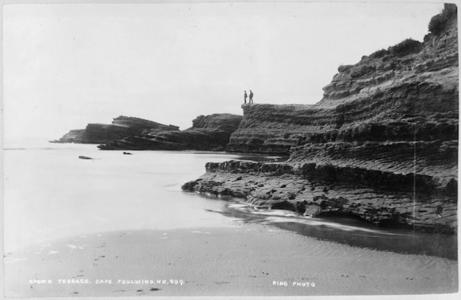 Brown Terrace, Cape Foulwind