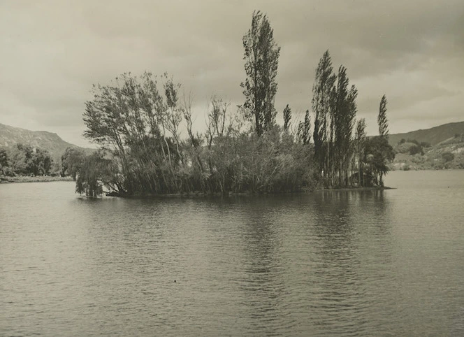 Island on Lake Tutira, Hawke's Bay - Photograph taken by John Dobree Pascoe