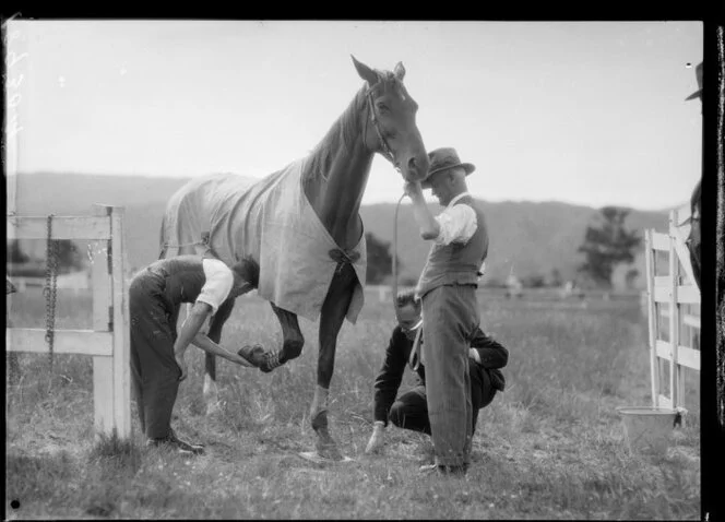 Men inspecting Phar Lap