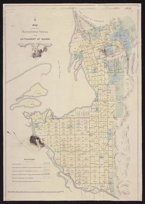 Map of part of the Accommodation Sections in the settlement of Nelson [by] Nathl. Edwards. [ca 1850] [ms map]