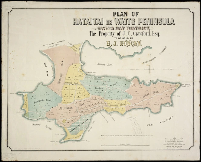 Plan of Hataitai or Watts Peninsula, Evans Bay district, the property of J.C. Crawford / [surveyed by E. Holroyd Beere].