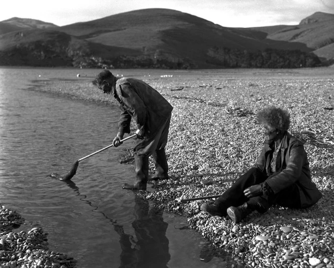 Catching eels during migration, Lake Forsyth