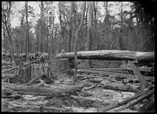 Horses transporting timber on a bush railway near Gamman's Sawmill, Ohakune