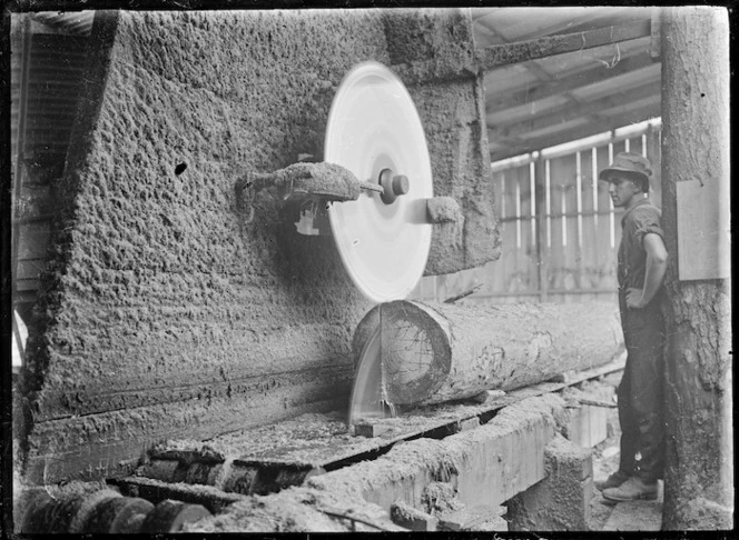 Cutting a pinus insignis log with a circular saw at Te Aroha, 1921