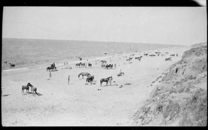 Troops of the ANZAC Mounted Division and their horses on the beach at Marakeb.