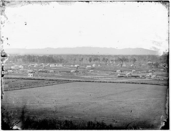 Settlement, with bush in the background, Feilding