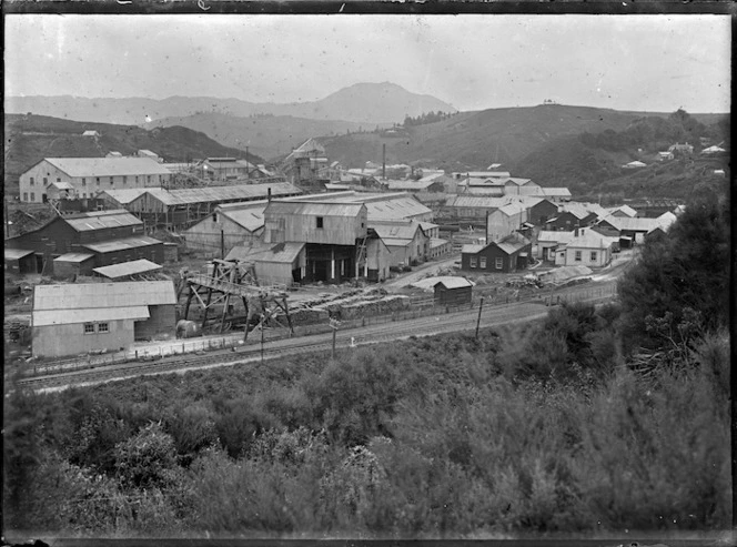 Waihi Gold Mining Company's batteries at Waikino.