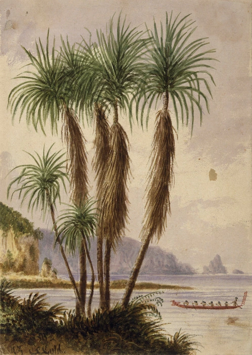 Gold, Charles Emilius, 1809-1871 :N. Z. / C. E. Gold [Cabbage tree, canoe and rocky headland, possibly Wellington Heads or Miramar Peninsula. Between 1847 and 1860]