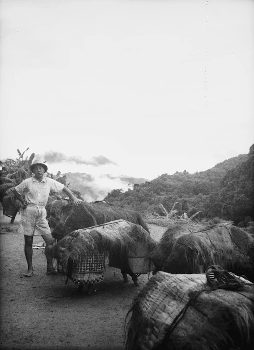 Bungatawng, Burma. Loaded mule caravan, 10 August 1938.