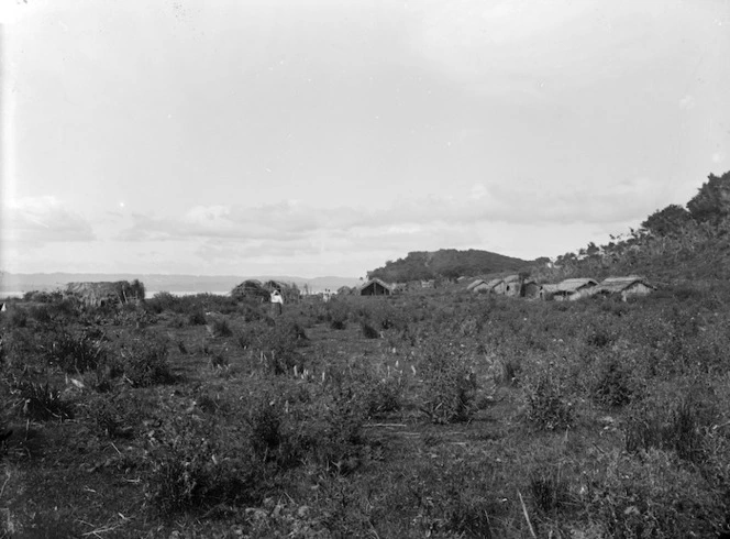 Maketu Pa, Kawhia