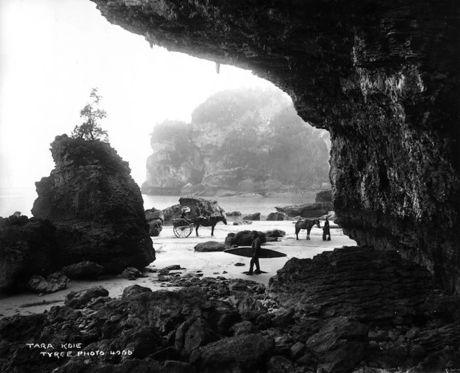 Three figures and two horses on a beach framed by a large cliff, Tarakohe, Golden Bay, Nelson-Marlborough Region