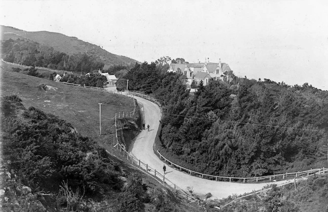 Wadestown Road and The Grange, Wellington