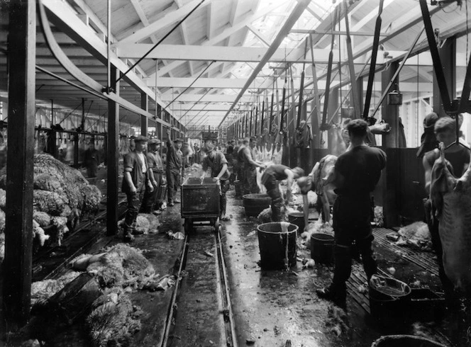 Processing sheep carcasses, Christchurch Meat Company