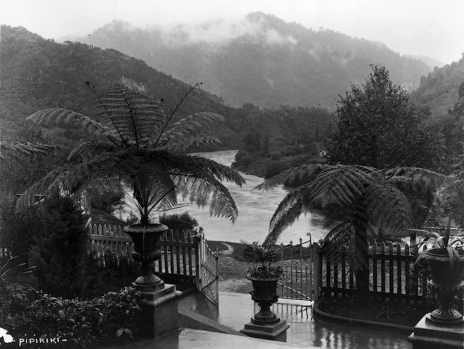 Looking through tree ferns at Pipiriki House, to the Whanganui River