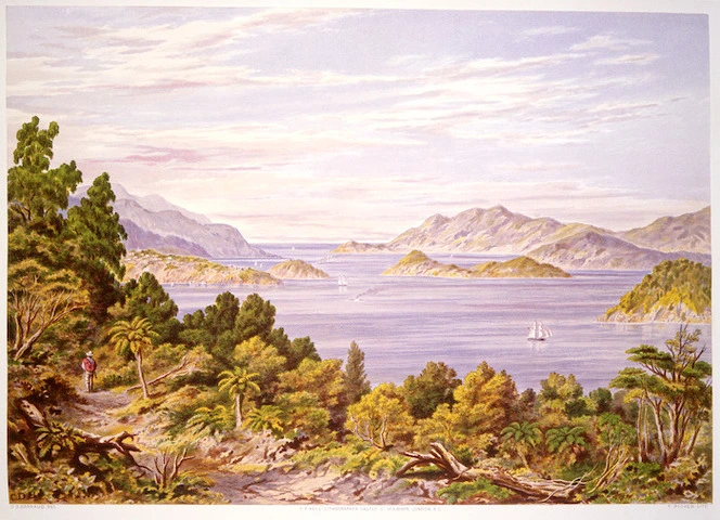 Barraud, Charles Decimus 1822-1897 :Port Chalmers. C. D. Barraud del, T. Picken lith., C. F. Kell, Chromo lithographer, London [1877]