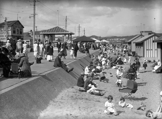 View of Lyall Bay foreshore