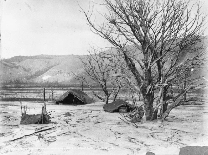 Burton Brothers (Dunedin), 1868-1898: Buried whare at Te Wairoa after the 1886 eruption of Tarawera