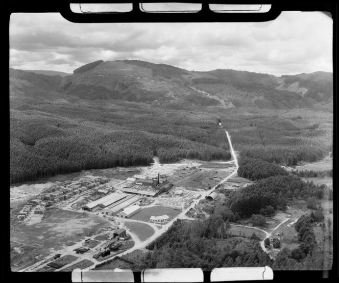 Waipa State Forest Sawmill surrounded by pine forest, Rotorua District, Bay of Plenty Region
