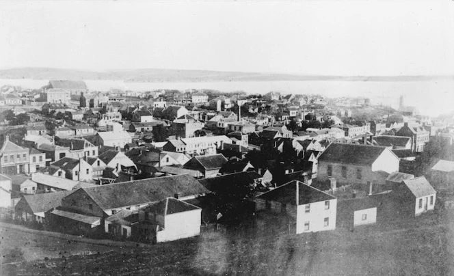 View of houses in central Auckland