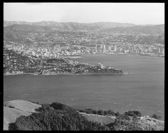 Wellington Harbour