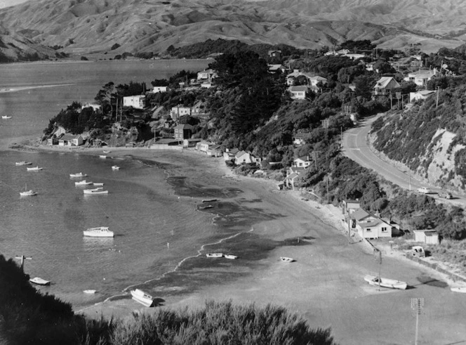 Ivey Bay, Shearers Point, and Golden Gate, Porirua Harbour