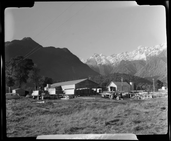 Timber yard, Fox Glacier