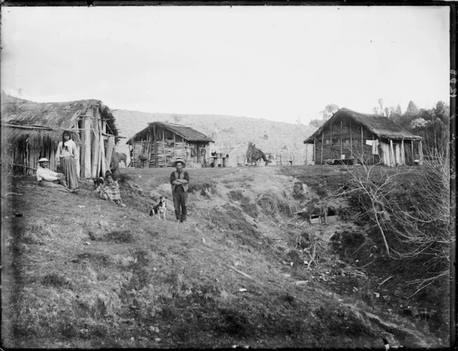 Scene at Purangi Pa, Taranaki region