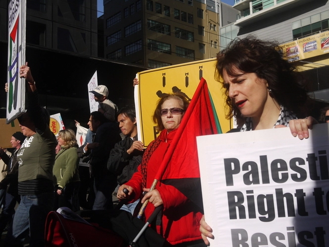 Photographs of a Wellington protest that responded to a clash between Israeli forces and aid workers