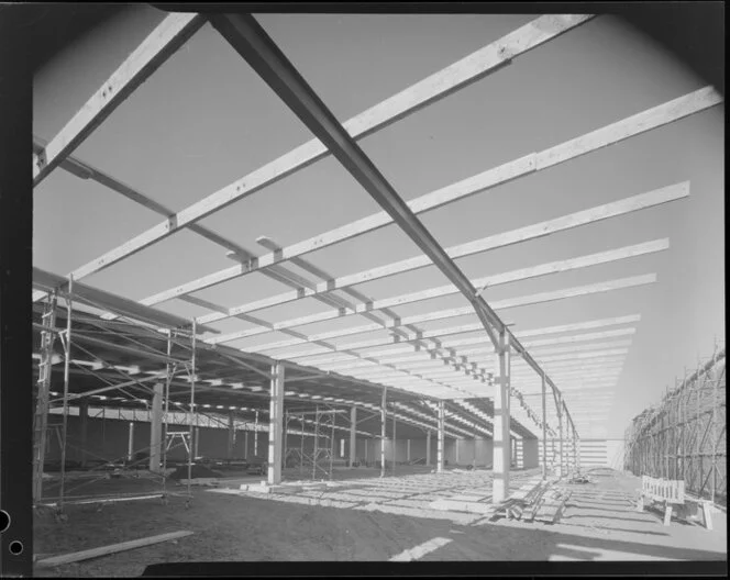 Wilkins and Davies Ltd, under construction, Lower Hutt