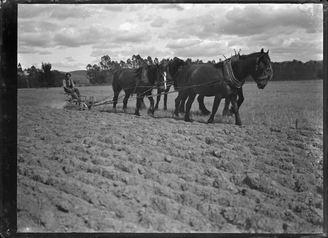 Ploughing, with a team of draught horses, on the Mendip Hills property, Hurunui District.