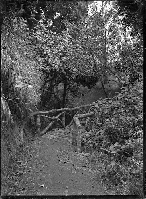 A rustic bush bridge in the Auckland Domain, 1910.