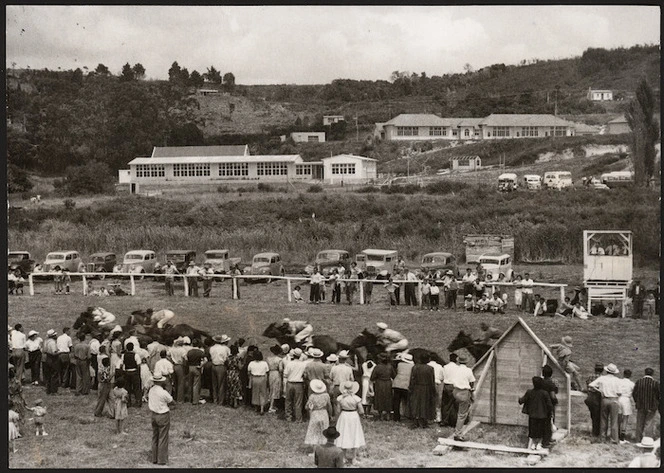 Horse race at the picnic race meeting held by the Hokianga Racing Club, at Memorial Park, Rawene, Northland region