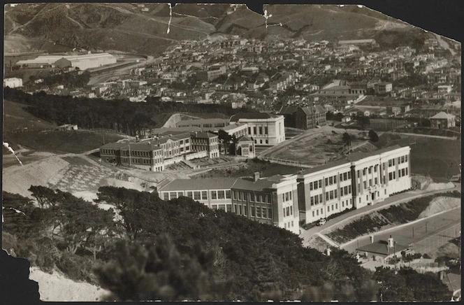 View over Wellington East Girls College and Wellington College